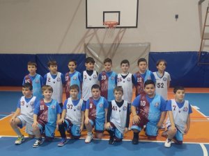 Scoiattoli 2015 Celeste